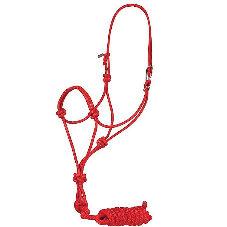 Mustang Easy-On Rope Halter With 8′ Lead