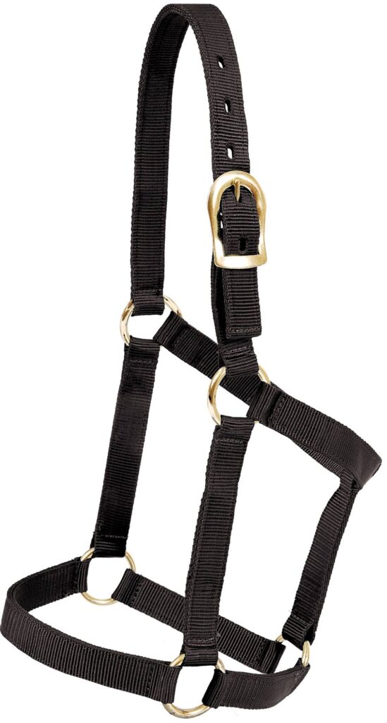 Mustang Regular Economy Halter