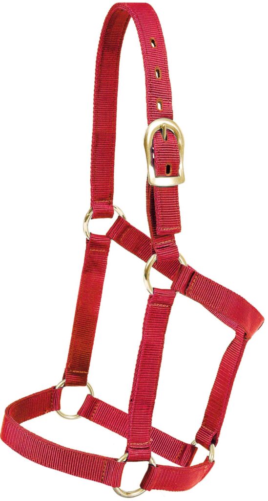 Mustang Foal Economy Halter
