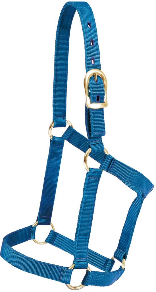 Mustang Foal Economy Halter