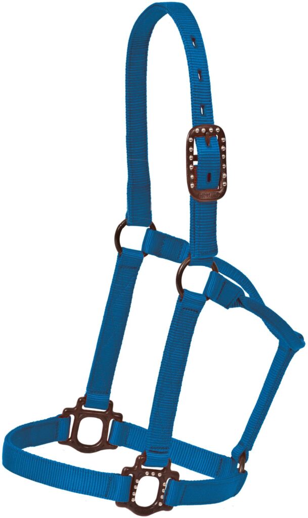 Mustang Antique Dot Halter