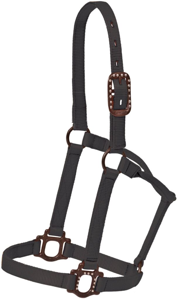 Mustang Antique Dot Halter