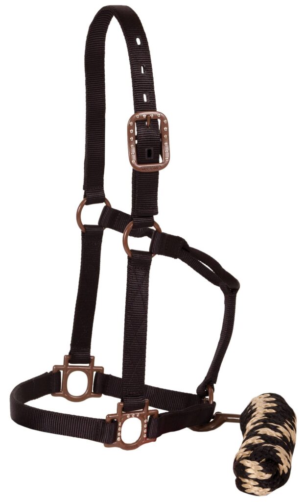 Mustang Antique Dot Halter With 8′ Lead Rope