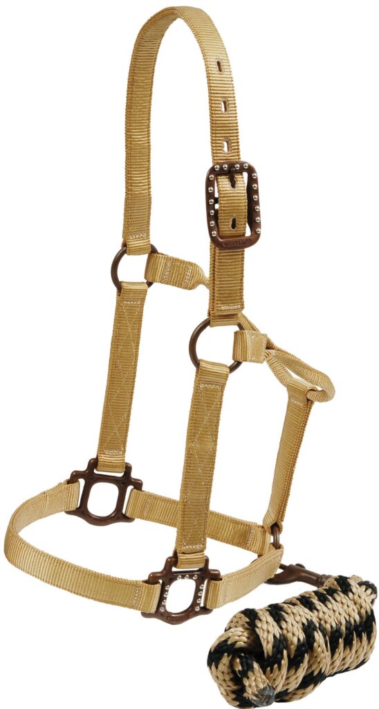 Mustang Antique Dot Halter With 8′ Lead Rope