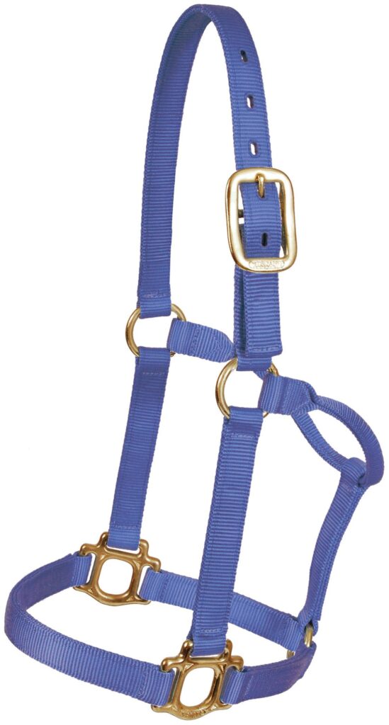 Mustang Traditional Nylon Halter With Brass Plated Hardware