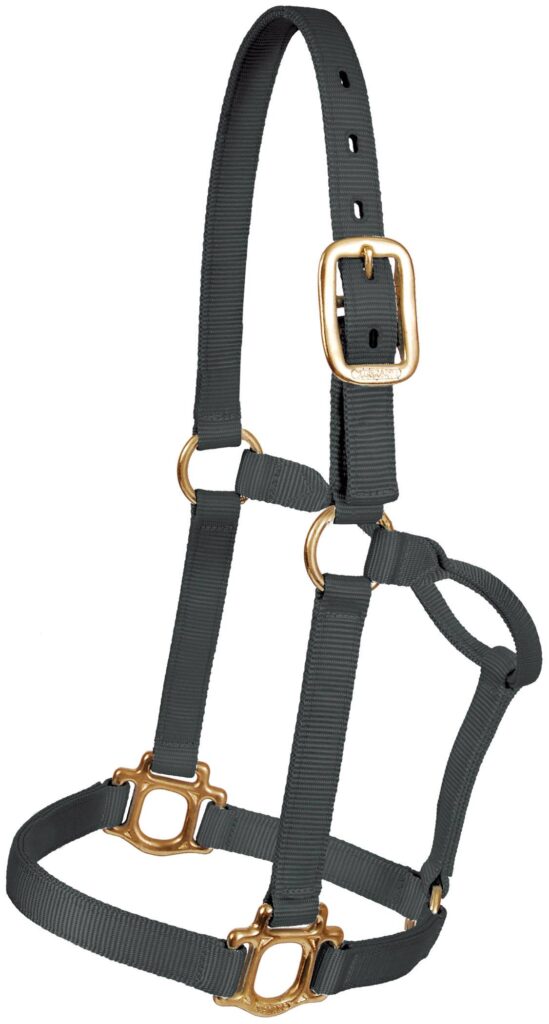 Mustang Traditional Nylon Halter With Brass Plated Hardware