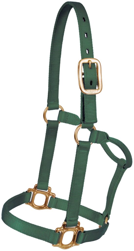 Mustang Traditional Nylon Halter With Brass Plated Hardware