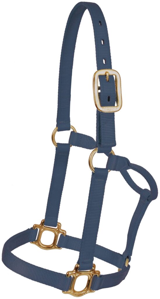 Mustang Traditional Nylon Halter With Brass Plated Hardware