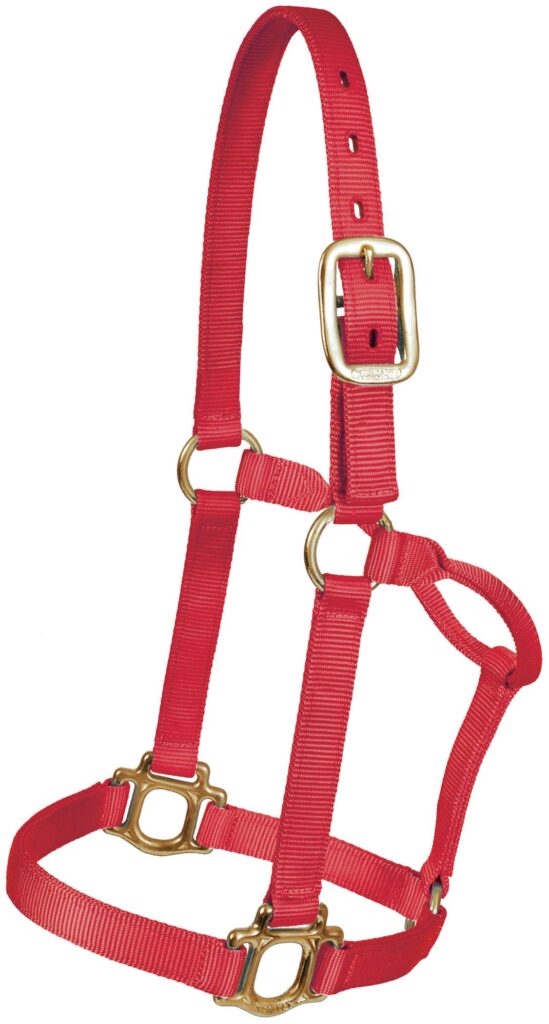 Mustang Yearling Traditional Nylon Halter