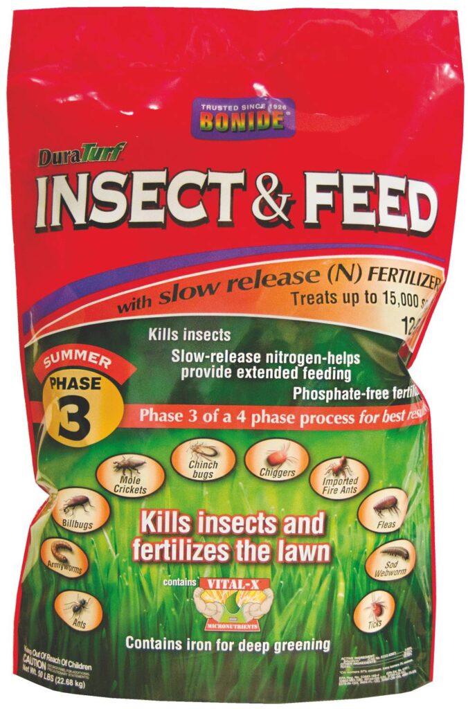 Insect & Feed