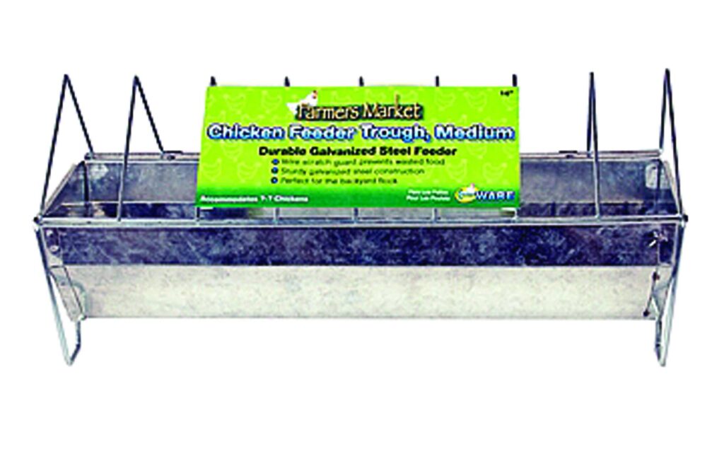 Ware Farmers Market Chicken Feeder Trough