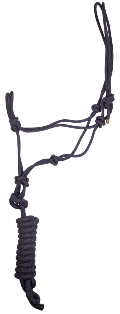 Gatsby Classic Cowboy Halter With Lead