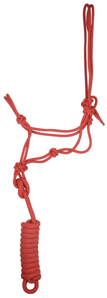 Gatsby Classic Cowboy Halter With Lead