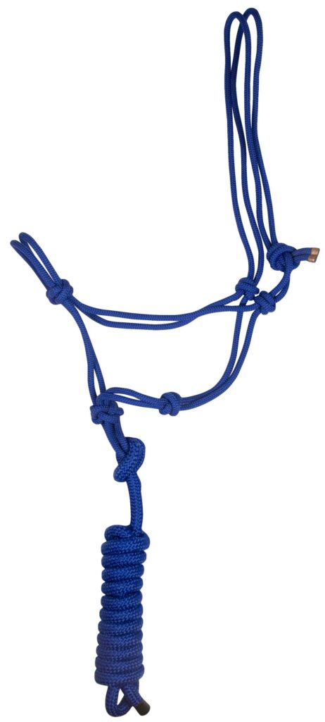 Gatsby Classic Cowboy Halter With Lead