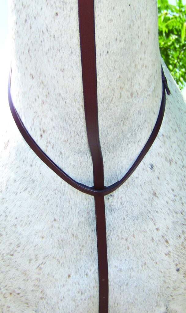 Shannon Flat Standing Martingale