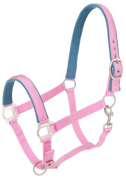Tough-1 Nylon Padded Halter With  Satin Hardware – 5 Pack