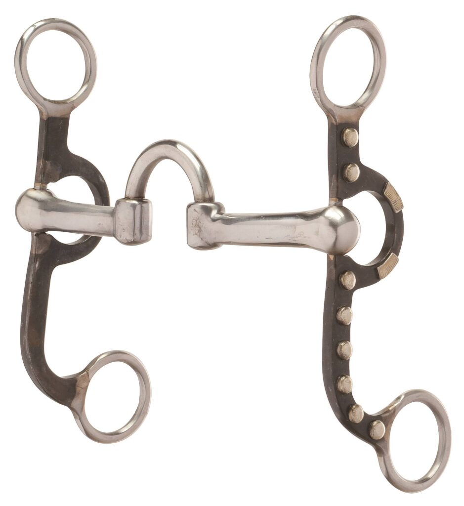 Weaver Leather Antique Argentine Low Port Correction